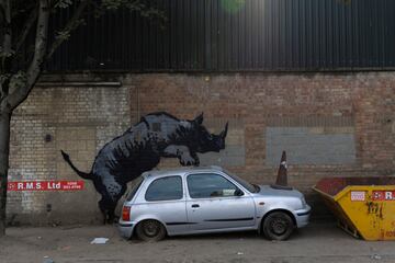 El 12 de agosto, una pintura de un rinoceronte, supuestamente obra de Banksy, adornó una pared en el área de Charlton en Londres, Inglaterra. Banksy, quien se atribuyó el mérito de esta obra de arte con una publicación en Instagram, sumó una nueva octava obra de arte en Londres en unos pocos días. 
 