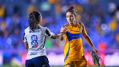 Rayadas vs Tigres: TV, horario, cómo y dónde ver el partido la Liga MX Femenil