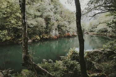 Los 6 bosques m¨¢s impresionantes de Espa?a para visitar en los meses de oto?o