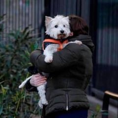 La OMS advierte del aumento de los contagios entre humanos y animales