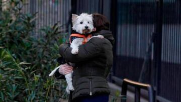 La OMS advierte del aumento de los contagios entre humanos y animales