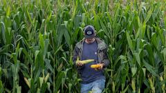 Adrian Grenier, the star who left Hollywood for a ranch in Texas: “I didn’t want to die alone. I wanted a family”