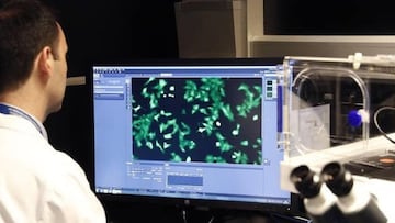 La ataxia de la Costa da Morte, la extraña enfermedad que une a Galicia con Japón