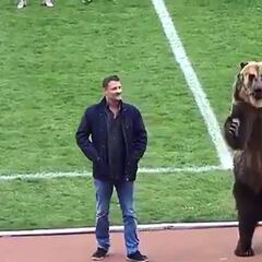El protocolo de inicio del partido... ¡Protagonizado por un oso!