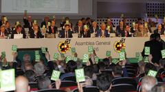 Asamblea General de la FEF (2016/2017)