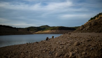 Falta de agua en el embalse de Rialb, que abastece de agua el Canal d'Urgell, a 28 de abril de 2023, en Ponts, Lleida, Catalunya (España). Ha cerrado el Canal d’Urgell para el uso agrario a causa de la bajada de caudal provocada por la sequía. Es la primera vez que esta infraestructura se cierra en 160 años. Sólo hay 12 metros cúbicos de agua por segundo y bajará incluso a dos metros cúbicos si no llueve próximamente. El sindicato Unió de Pagesos ha pedido asegurar la alimentación y el agua para la ganadería extensiva, proponiendo un peritaje de la pérdida prevista de la cosecha de cereal, y que se permita el aprovechamiento de pasto para la ganadería extensiva.
28 ABRIL 2023;SEQUÍA;AGUA;GANADERÍA;AGRICULTURA;CEREAL;CULTIVO
Lorena Sopêna / Europa Press
28/04/2023