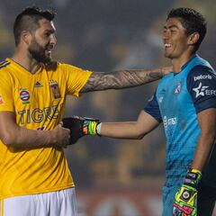 Puebla vs Tigres, cómo y dónde ver; horario y TV online