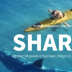 Ataques de tiburón en el mundo: guía interactiva y de supervivencia