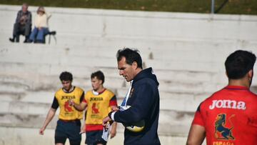 A?o cero para los Leones