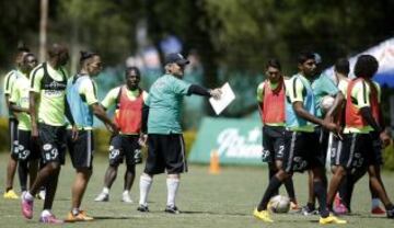 Intensidad y trabajo en el entrenamiento verdolaga