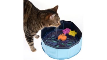 Estos son los mejores productos para mantener a tu mascota fresca este verano