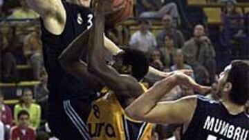 <b>RIVAL ITALIANO.</B> El Real Madrid se medirá en cuartos de final al Metis Varese.