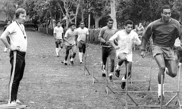 "Hormigas en el culo"