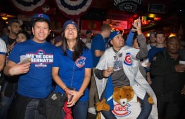 Las mejores imágenes de los Chicago Cubs ¡campeones!