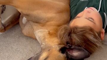 Adopta un galgo y tiempo más tarde protege a su pequeña dueña como si fuera una de ellos: “Qué bonito vínculo”