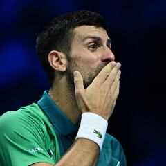 La cabellera de Djokovic
