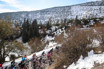 Panorámica del pelotón durante la etapa de hoy.