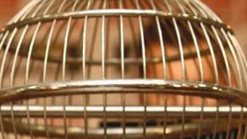 El Barcelona hará un sorteo para adjudicar las entradas para la final de Copa.