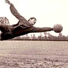 Vídeo: Las mejores atajadas de Antonio ‘La Tota’ Carbajal