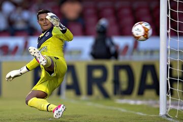 Este arquero que militó en el Veracruz mostraba grandes altibajos en su desempeño, así como sacaba los balones más complicados, así mismo se comía goles increíbles.