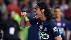Al-Khelaifi: "Ibrahimovic's replacement? We have Cavani"