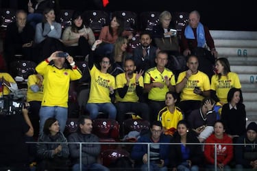 StubHub y la Copa Davis se unen para la compraventa de entradas