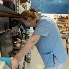 La UE señala la posible razón tras los casos de hepatitis en niños