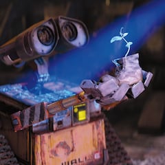 Crecen plantas por primera vez en el suelo de la Luna