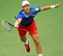 Berdych acerca a los checos a la final de la Copa Davis