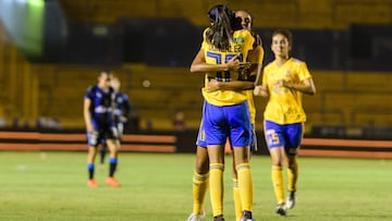 Tigres y Querétaro se enfrentarán en el penúltimo partido de la jornada 1 del Clausura 2019 de la Liga MX Femenil este lunes en el Estadio Universitario.