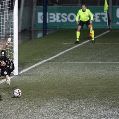 Las ramas torcidas de Koeman