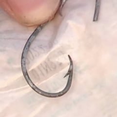 Un pescador engancha a un surfista por el cuello con su anzuelo 'con muerte' en Galicia