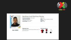 Ronaldo, Zidane, y Djorkaeff.... ¿juegan en la Liga MX?