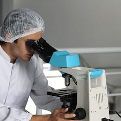 Hallan una clave de la inmunidad contra Ómicron