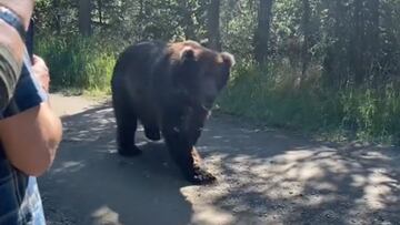 Un oso grizzly pasea frente a dos personas que le graban con el teléfono móvil en el Parque Nacional de Katmai (Alaska, Estados Unidos) en agosto del 2021.