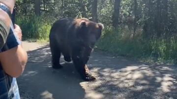 Un oso grizzly pasea frente a dos personas que le graban con el tel&eacute;fono m&oacute;vil en el Parque Nacional de Katmai (Alaska, Estados Unidos) en agosto del 2021. 