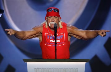 Terrence "Terry" Gene Bollea, más conocido como Hulk Hogan o Hollywood Hogan, fue 12 veces campeón mundial, 6 veces Campeón de la WWE, (una vez como Campeón Indiscutido), 6 veces Campeón de la WCW, y también una vez Campeón por parejas con Edge. Hogan fue inducido al WWE Hall of Fame en 2005 y fue ganador del Royal Rumble en 1990 y 1991.