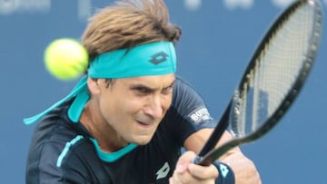 David Ferrer.