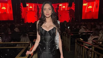 “Volvería a Chile si es para entrar a un reality de drama, amor y rivalidad en la TV abierta... Estoy abriendo las puertas del porno a las chilenas”