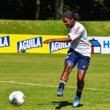 La Selección Colombia tendrá dos amistosos ante Estados Unidos, actuales campeonas del mundo y quienes lideran el ranking FIFA. Los partidos serán los días lunes 18 y viernes 22 de enero en el Exploria Stadium de Orlando, Florida
