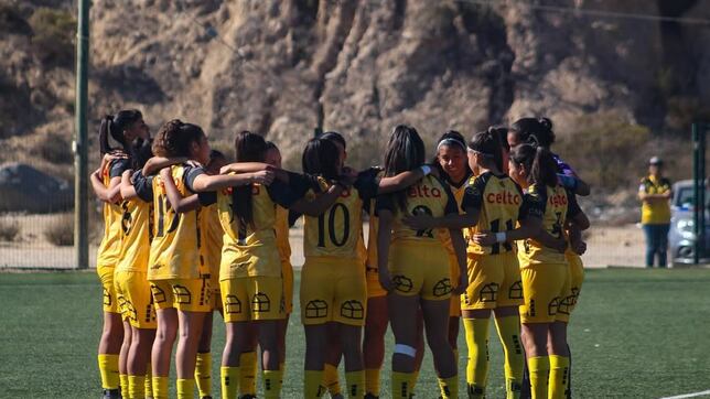 Coquimbo preocupa al fútbol chileno: jugadora se desvanece, está en coma inducido y con ventilación mecánica