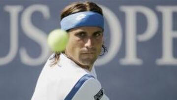 Ferrer sustituye al lesionado Tsonga en Abu Dhabi