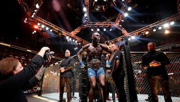 Israel Adesanya beat Alex Pereira at UFC 287 on Saturday, knocking the Brazilian out in round two to regain his middleweight crown.