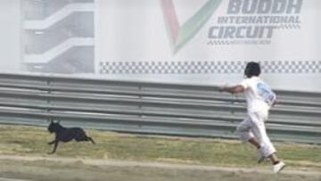 <b>DÍA DE PERROS. </b>Los operarios tuvieron trabajo con los canes.