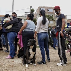 Ingreso Solidario hoy | Quién lo cobra, últimas noticias, montos y fechas de pago | 13 de mayo