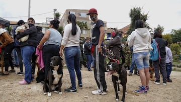 Ingreso Solidario en Colombia. Conozca si podr&aacute; cobrar en febrero el subsidio si no lo hizo en meses pasados y qu&eacute; pasar&aacute; con los pagos pendientes.