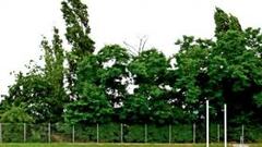 Bad Kreuznach acogió ayer al 'Euro Racing'