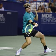 ¿A qué hora es el Davidovich - De Miñaur? Horario de la final de Washington, dónde y cómo ver online y en TV