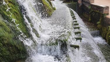 La Sierra Norte de Málaga fija 52 rutas cicloturistas con 900 kilómetros