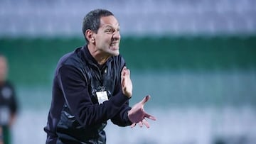 Acciari, en una foto de archivo.